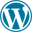 WordPress Support & Fixes